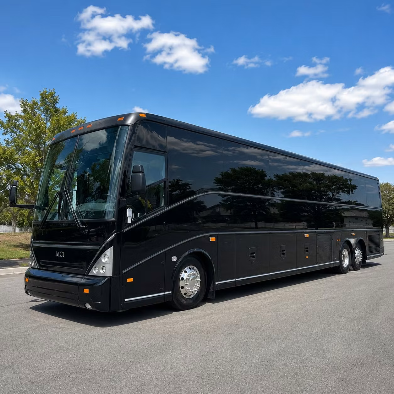 buttonwood park zoo field trip buses for new bedford school groups